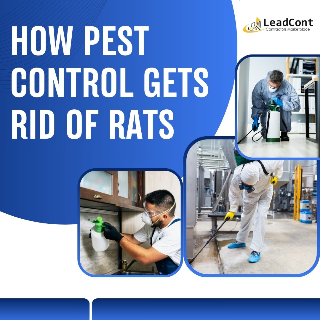 How Pest Control Gets Rid of Rats